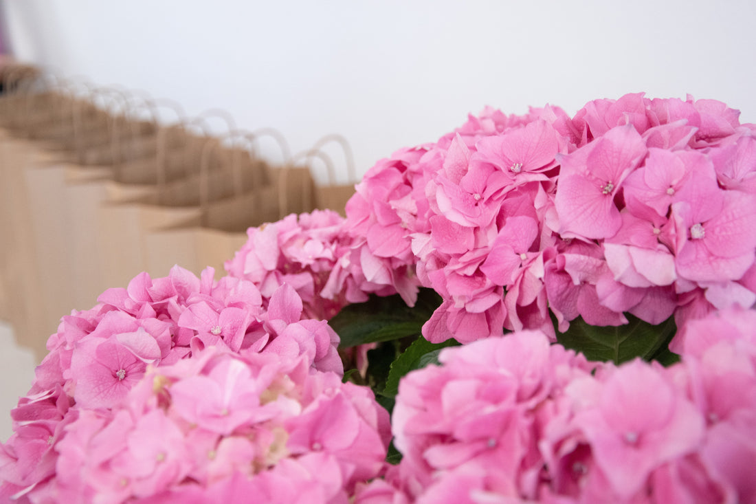 Ab jetzt können Sie buchen: Göffnet seit 4. Mai 2025